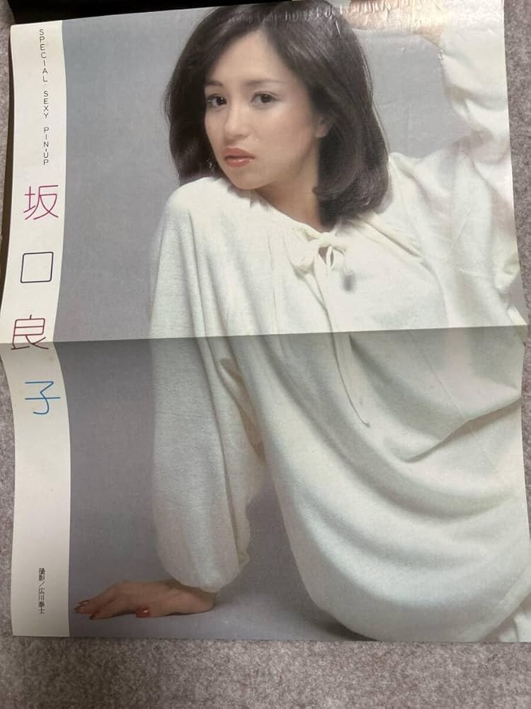 週刊プレイボーイ  昭和53年度　計16冊セット Amazon.co.jp: 週刊プレイボーイ 昭和53年 小西直子 早坂アキヨ